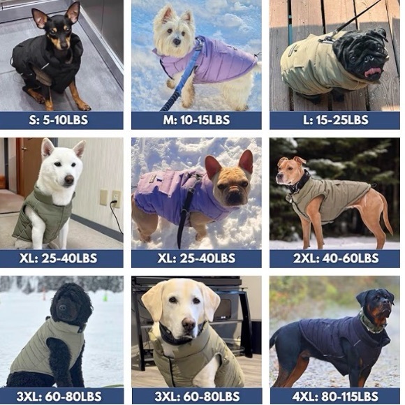 Spark Paws Dog Winter Jacket, Water-Resistant Coat, Lilac XL - Picture 5 of 5